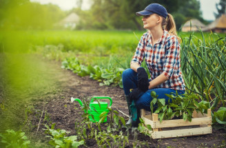 Overené tipy na striedanie zeleniny v záhonoch - TAKTO budete mať na záhrade bohatú úrodu!
