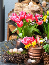 Jarné kvety v plnej paráde! Nechajte balkón aj záhradu rozkvitnúť týmito DIY dekoráciami