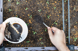 Kávová usadenina nepatrí do koša: 10 rád, ako ju zaručene využijete v záhrade