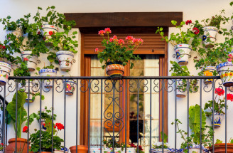 Ako zazimovať balkónové kvety? Poznáte tieto nepísané pravidlá?