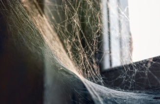 Ako sa zbaviť pavučín v príbytku? Týmito spôsobmi vyženiete i pavúkov