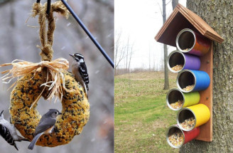 DIY kŕmidlo pre vtákov: Nekupujte, ale recyklujte a vyrobte si originálne kŕmidlá!