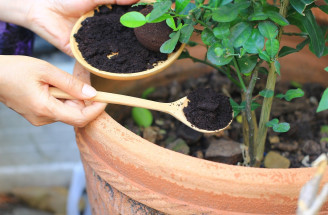 Kávový grunt – pomocník pre krásu, do domácnosti aj záhrady
