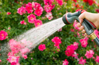 Najčastejšie chyby pri zalievaní záhrady: Pozor, týchto 5 určite robíte aj vy